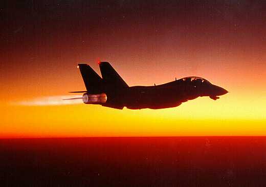 Ultimately we must be our own F-14s