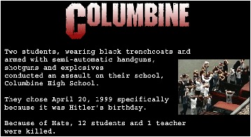 The youths who conducted the assault on Columbine High School were from "successful" families