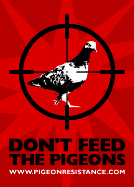 I learned feeding pigeons promotes rats